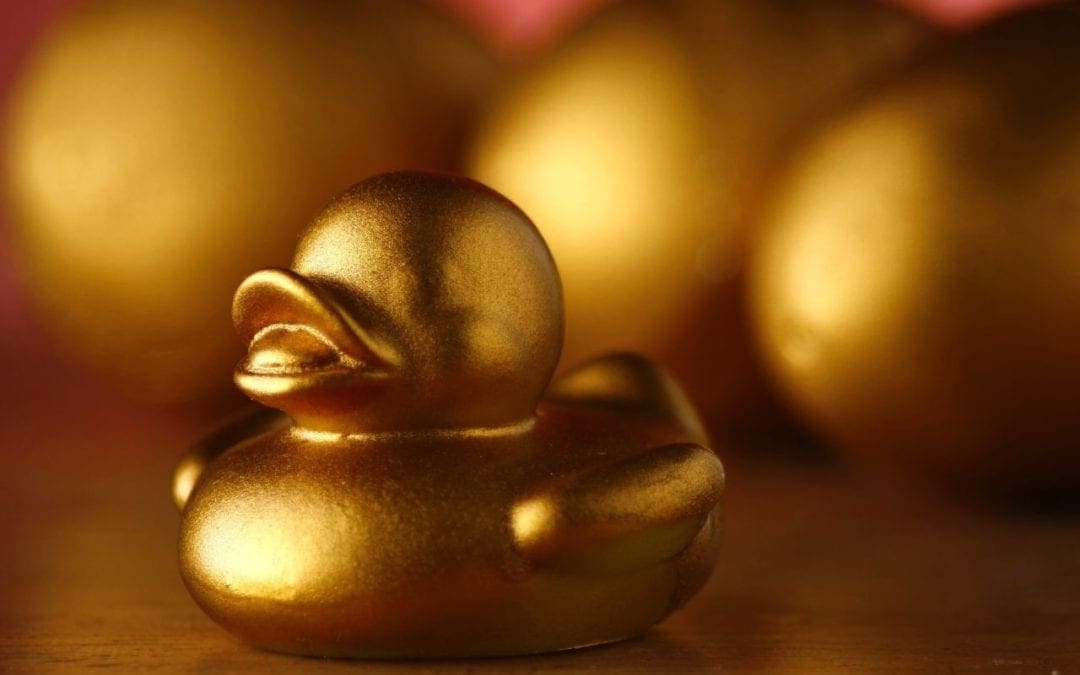 Quiz time – golden ducks!